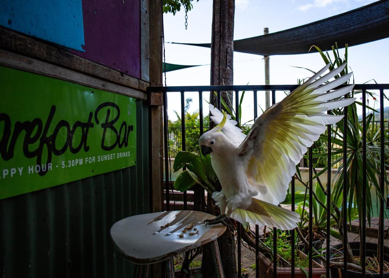 Backpackers By The Bay Hostel แอร์ลีบีช ภายนอก รูปภาพ